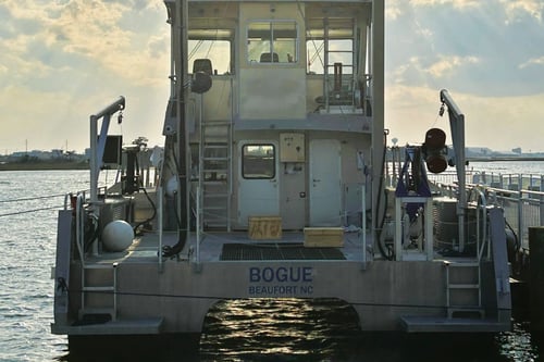 Bogue-hi-res-cmyk Bogue-hi-res-cmyk