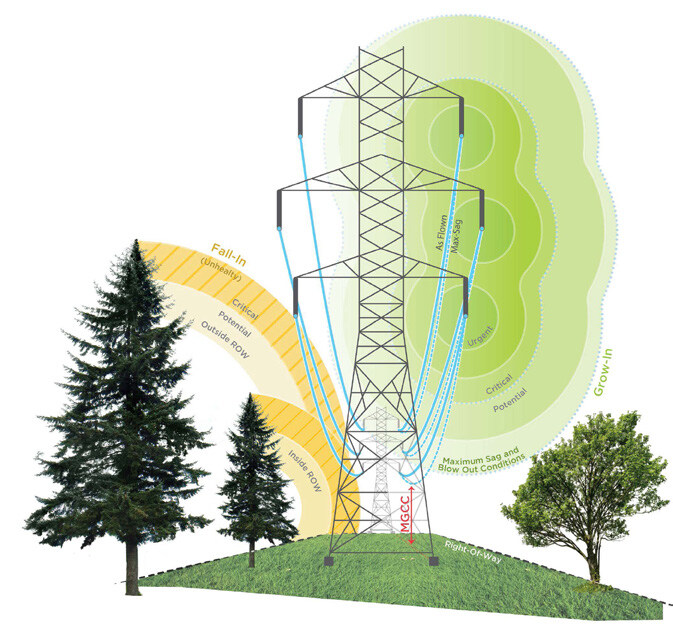 Rapid Reporting Flyer Rapid Reporting Flyer