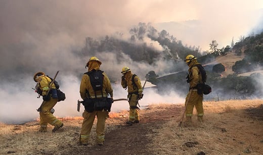 Wildfire Management